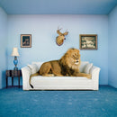 Clementoni Frame Me Up Puzzel Leeuw, 250st.