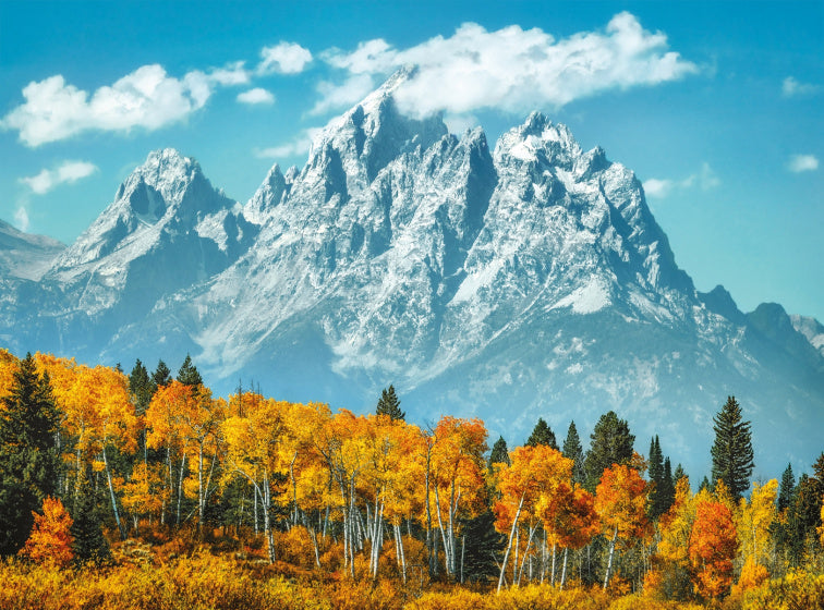 Legpuzzel Grand Teton 1000 stukjes
