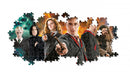 Clementoni Panorama Puzzel Harry Potter 1000 Stukjes