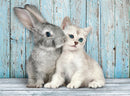 legpuzzel High Quality Cat&Bunny 500 stukjes