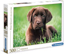 legpuzzel High Quality - Labrador 500 stukjes