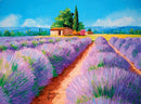 Clementoni High Quality Collection Puzzel Lavender Scent 500 Stukjes
