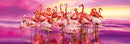 legpuzzel Panorama Flamingo Dance 1000 stukjes