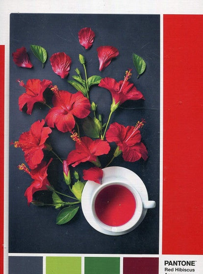 legpuzzel Pantone Red Hibiscus 1000 stukjes