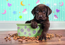 Clementoni Puzzel 180 stukjes Lovely Puppy
