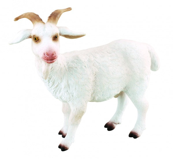 Boerderijdieren: Bok 6,5 X 6,5