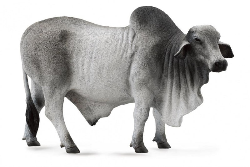 boerderijdieren: Brahmaan stier 14 cm grijs