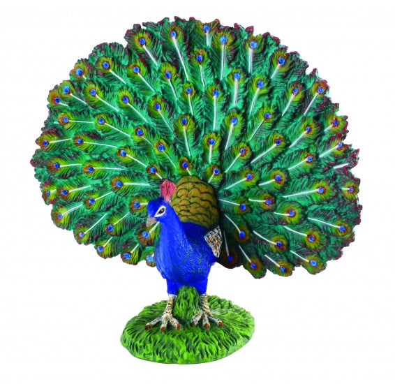 Boerderijdieren: Pauw 7 X 8 cm