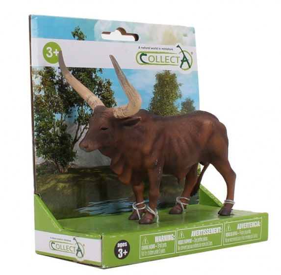 boerderijdieren: watusirund in giftverpakking