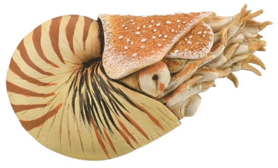 speeldier prehistorie Nautilus 10 cm ABS beige