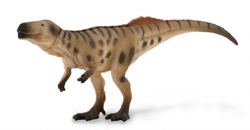 dinosaurus Megalosaurus junior 15 x 5 cm bruin