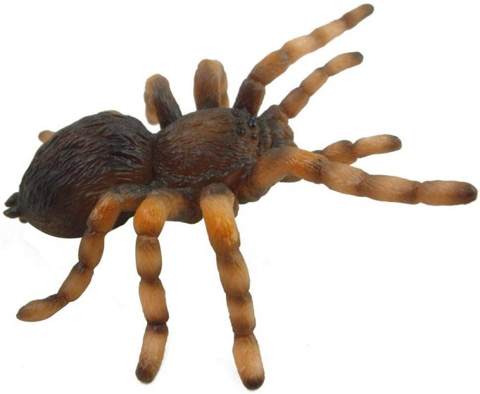 insecten: speelset in giftverpakking 3-delig spin