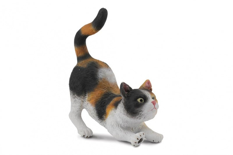 katten: strekkende huiskat 5 cm bruin/wit