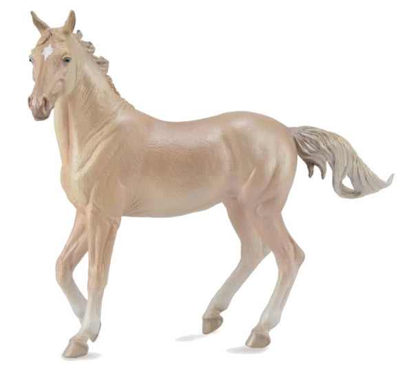 paarden: Akhal-Teke merrie 16 cm lichtbruin