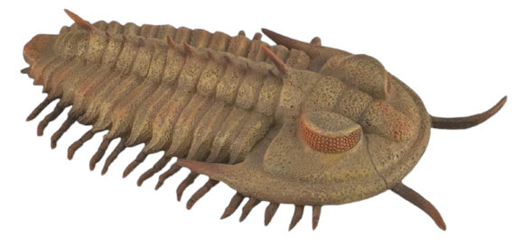 speeldier prehistorie trilobieten 9,5 cm ABS bruin