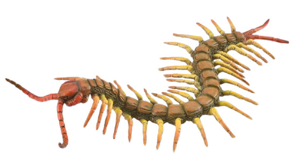 speeldier duizendpoot junior 18 cm ABS bruin