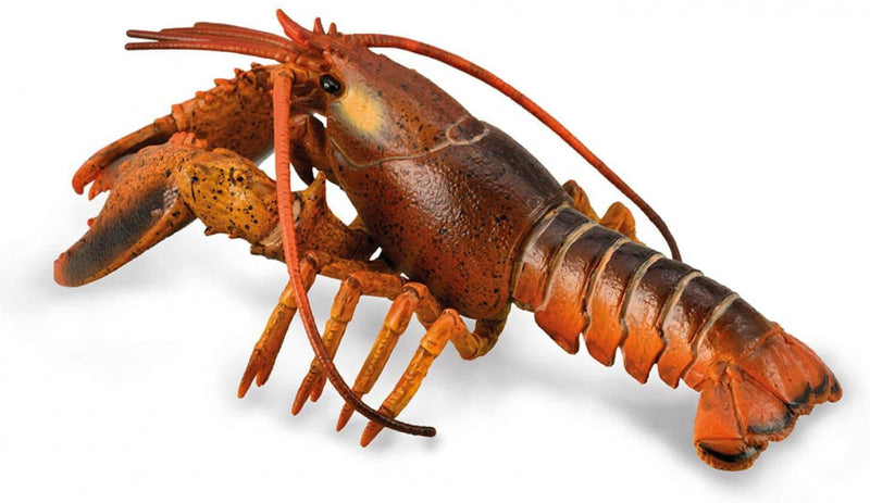 speelfiguur kreeft junior 15 x 6 cm bruin