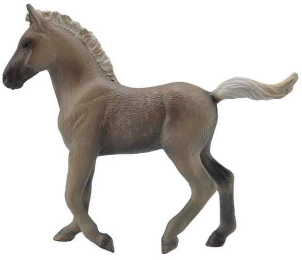 veulen Rocky Mountain bruin 11 x 8,9 cm