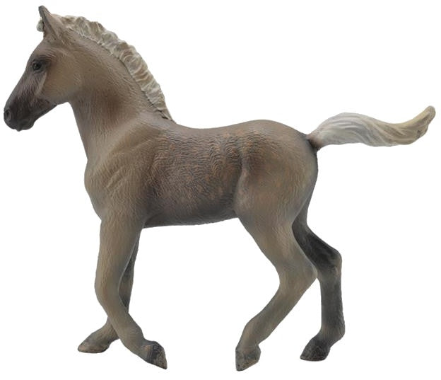 veulen Rocky Mountain bruin 11 x 8,9 cm