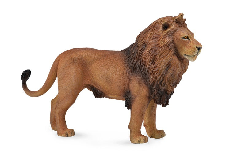 Wilde dieren: Afrikaanse leeuw 14 x 9 cm