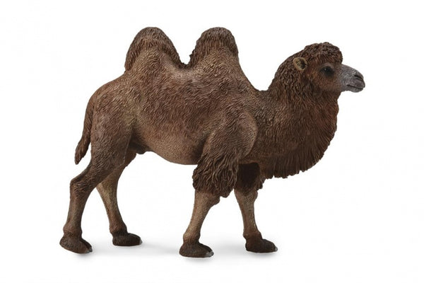 Wilde dieren Kameel 12,4 x 9,5 cm