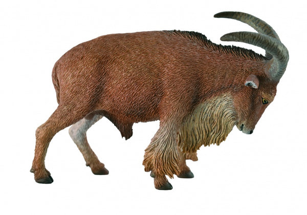 Wilde Dieren Manenschaap 8.5 X 6 cm