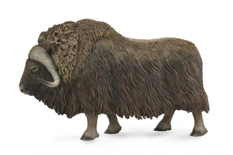 Wilde dieren Muskusos 13 cm