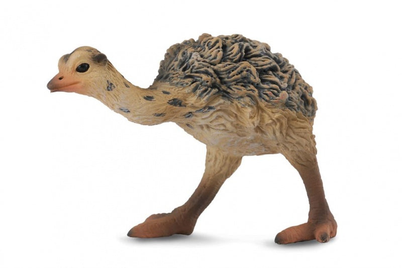 wilde dieren: struisvogelkuiken 5,5 cm bruin