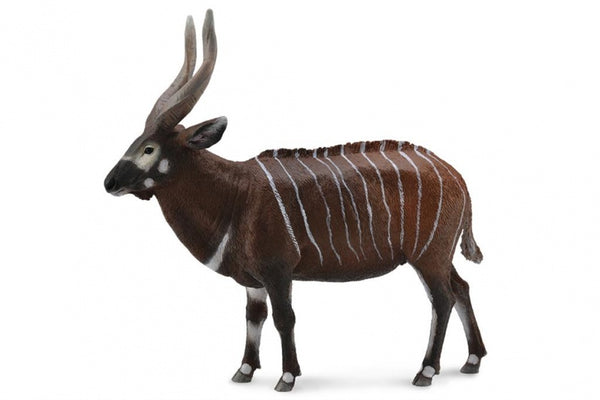 Wilde dieren XL Bongo 12,2x11,2 cm