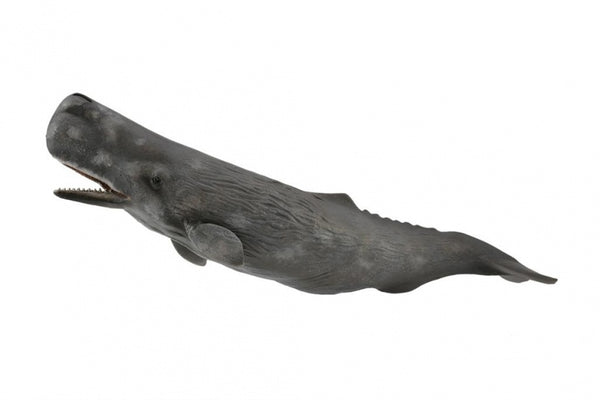 Zeedieren Potvis 24 cm
