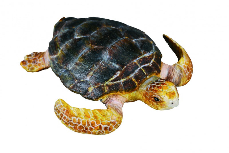 Zeedieren Schildpad 7 X 1 cm