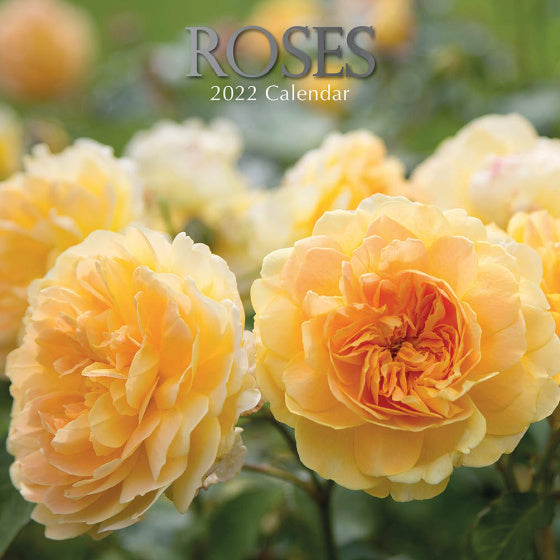 kalender 2022 Roses 30 x 30 cm papier