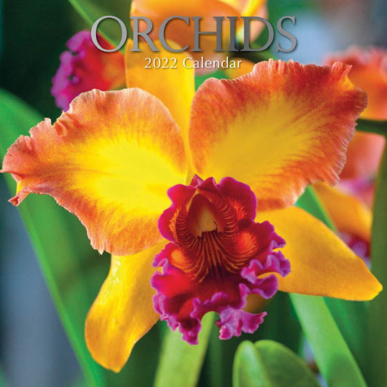 kalender 2022 Orchideeën 30 x 30 cm oranje/groen (en)