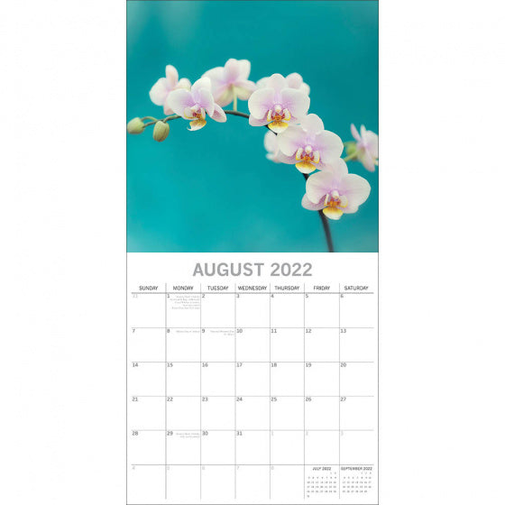 kalender 2022 Orchideeën 30 x 30 cm oranje/groen (en)