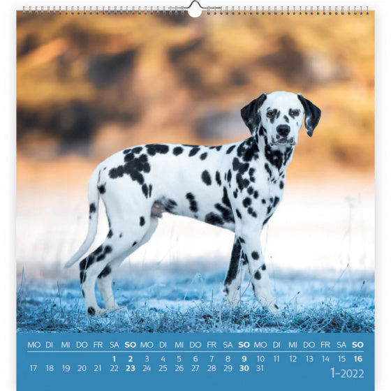 kunstkaartkalender Honden 2022 papier 17 x 16 cm