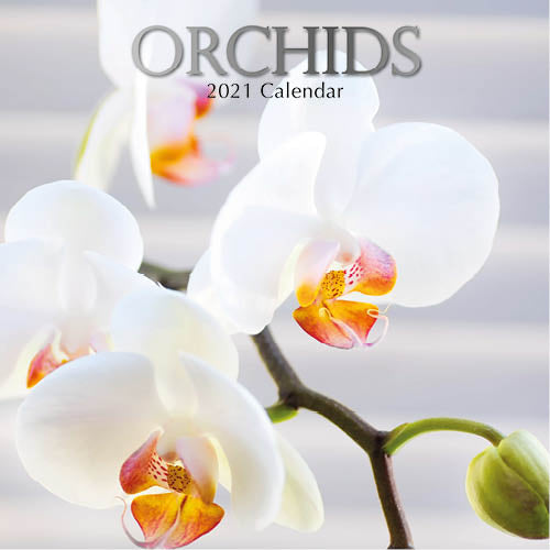 wandkalender 2021 Orchideeën 30 cm papier
