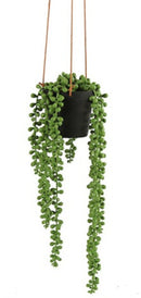 Kunstplant Senecio Rowleyanus Groen