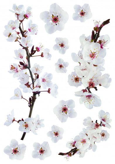 muursticker Photographic Blossem wit 11 stuks