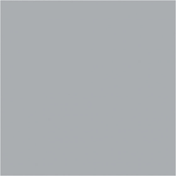 acrylverf 'Plus Color' regen grijs 250ml