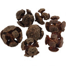 cipreskegel 2 cm 40 stuks bruin