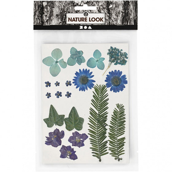 Gedroogde Bloemen en Bladeren Blauw, 19dlg.