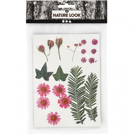 Gedroogde Bloemen en Bladeren Lichtrood, 19dlg.