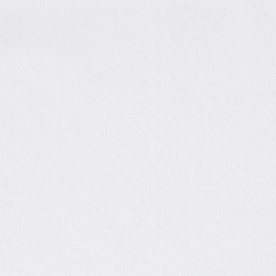 hobbyvilt Felt 500 x 45 cm wit