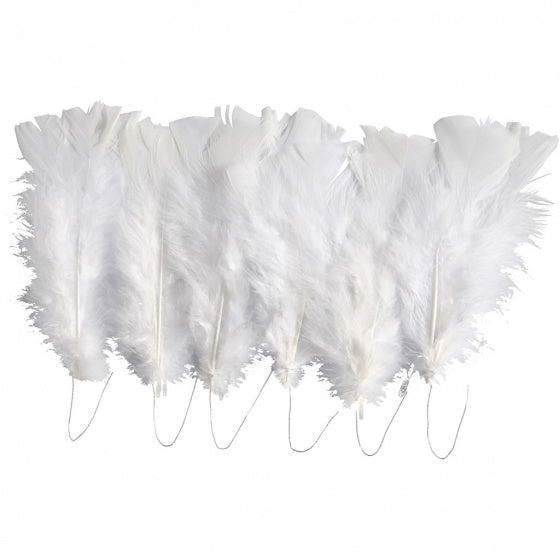 kalkoenveren 11-17 cm wit 18 stuks