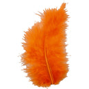 Dons Oranje 5-12 cm, 15st.