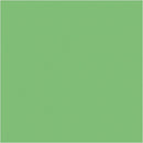 karton groen 460 x 640 mm 25 vellen