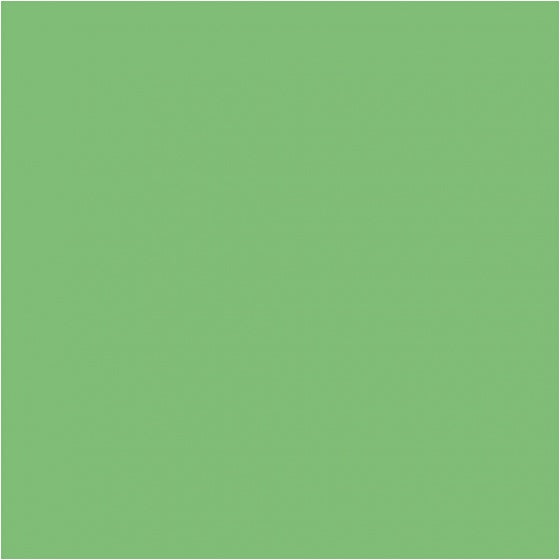 karton groen 460 x 640 mm 25 vellen