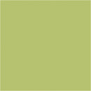 karton lime 460 x 640 mm 25 vellen