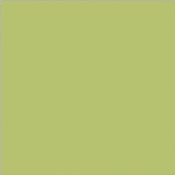 karton lime 460 x 640 mm 25 vellen