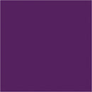 BIC Kids Visacolor XL Paars